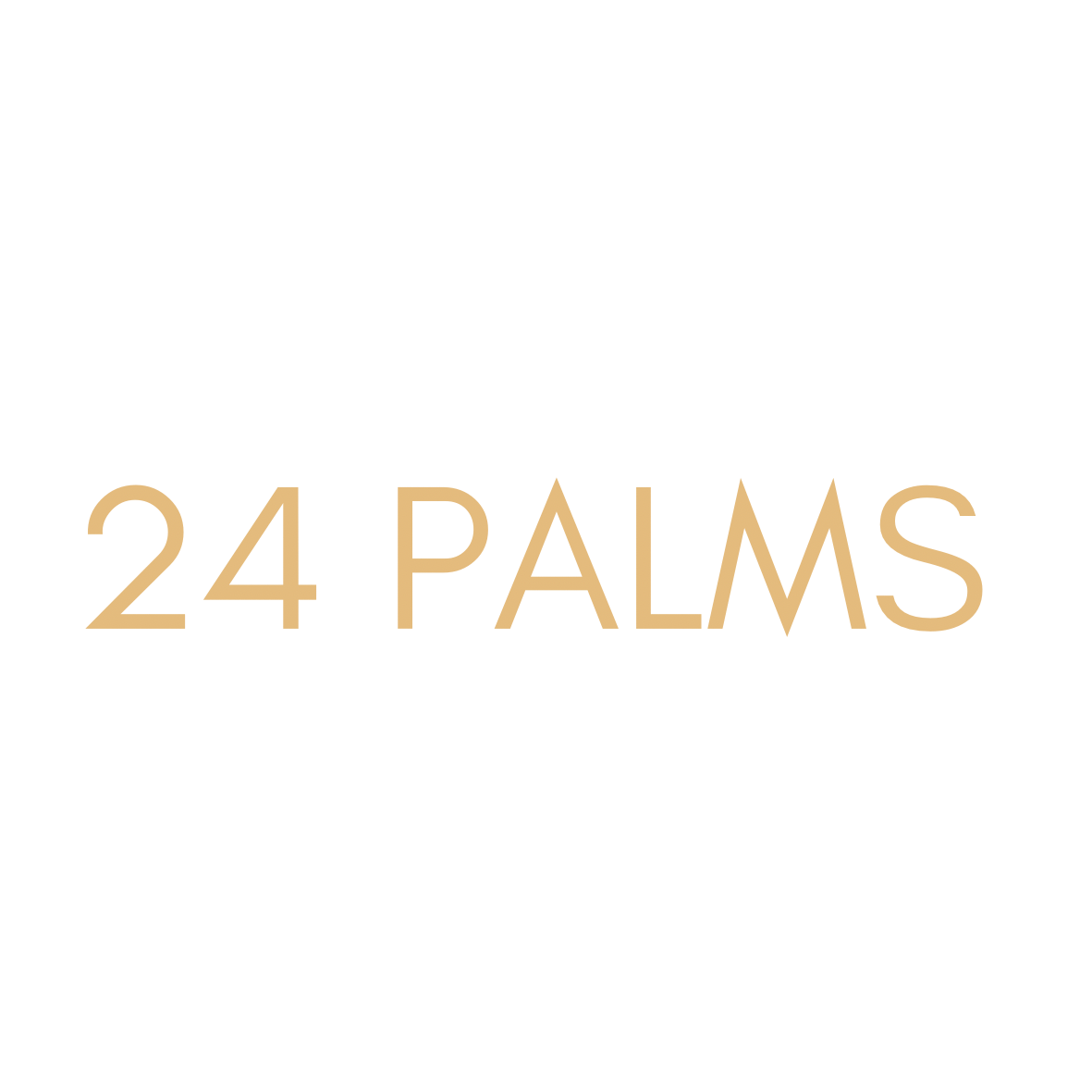 24 PALMS 