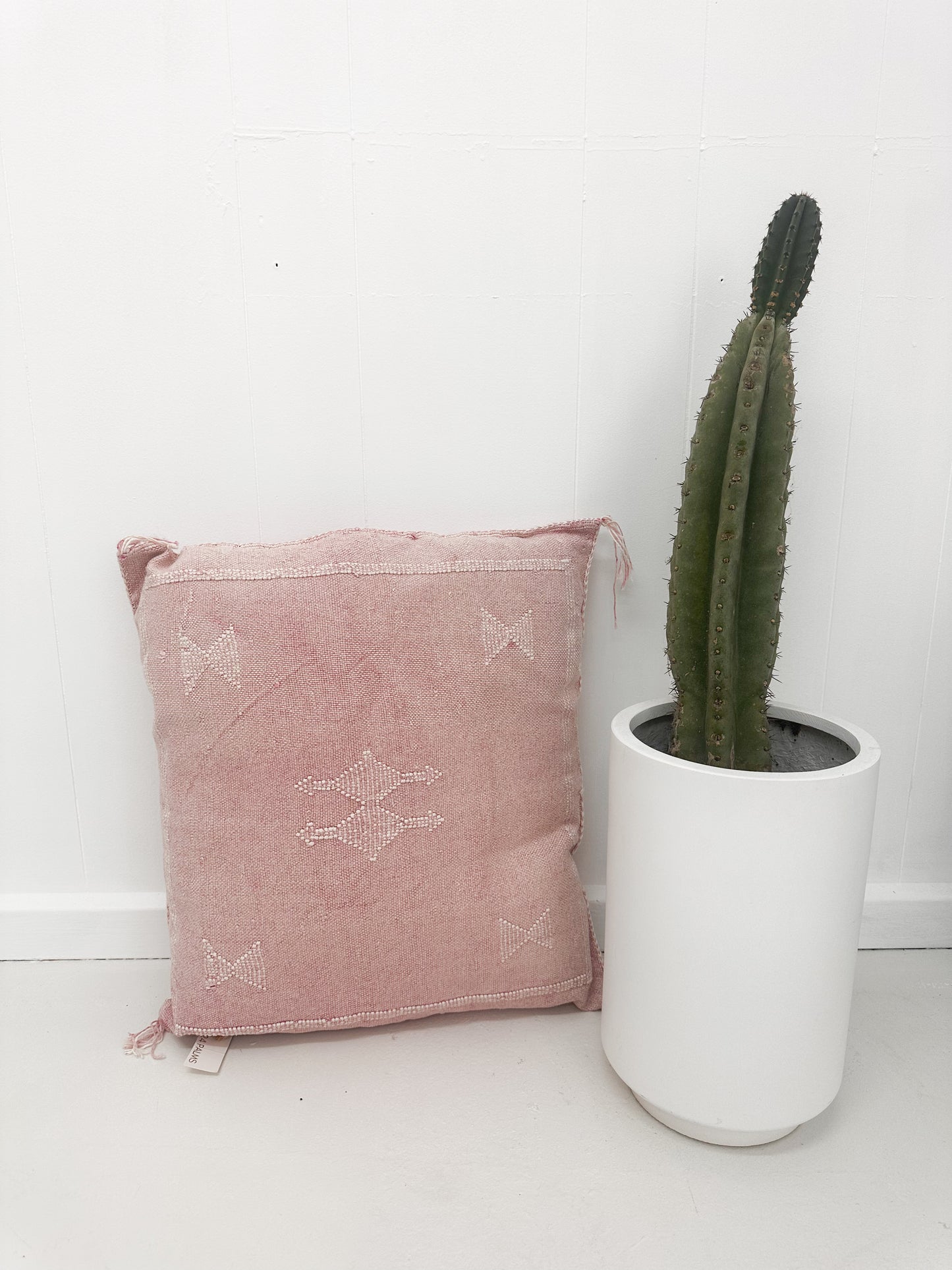 CACTUS SILK CUSHION