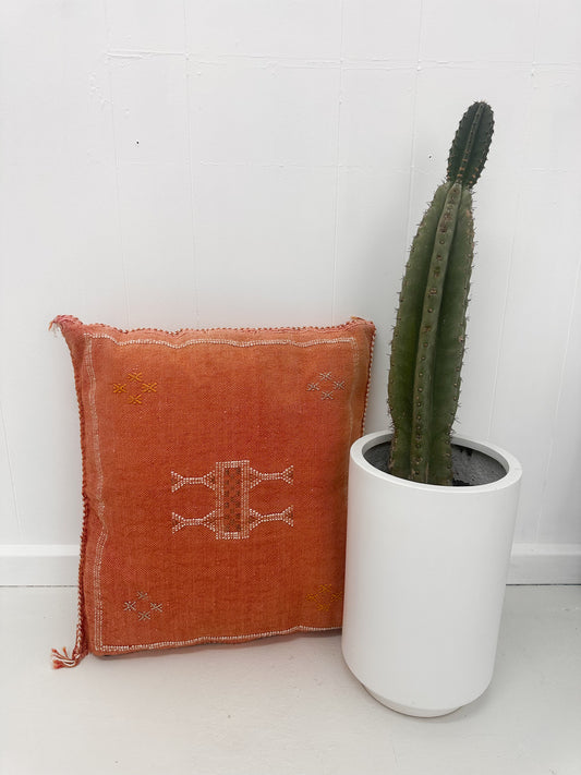 CACTUS SILK CUSHION