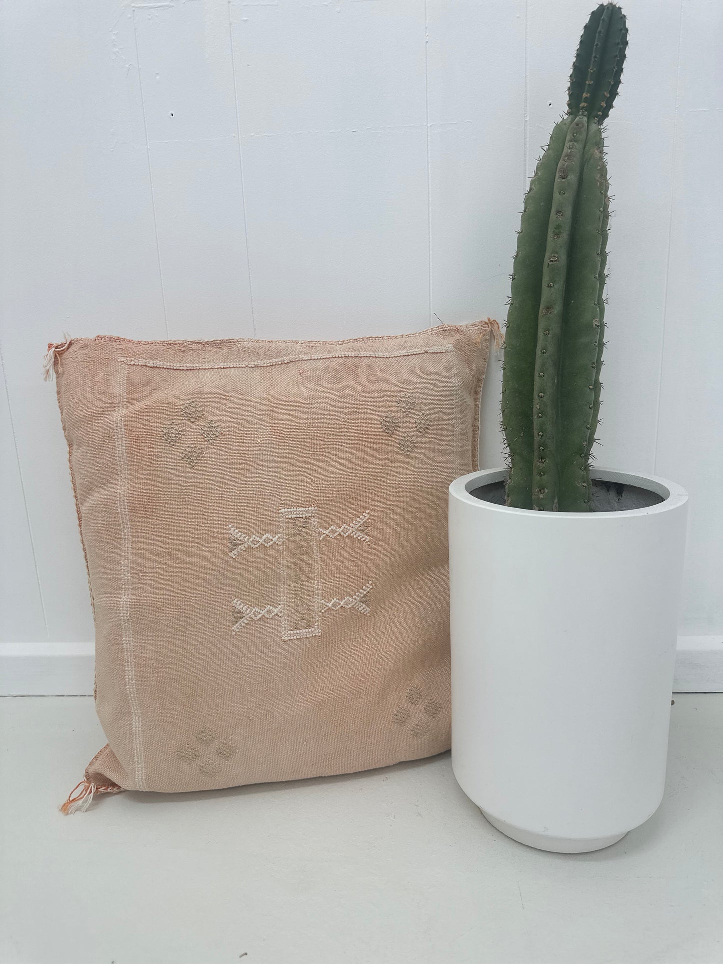 CACTUS SILK CUSHION