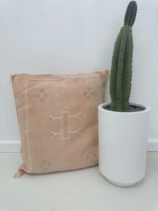 CACTUS SILK CUSHION